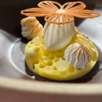 273508031_120205803889499_4765788198287880267_n