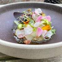 280513352_4902474086529847_2189276955317028082_n