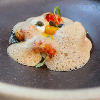 308189786_467648428717370_4051877788379271352_n