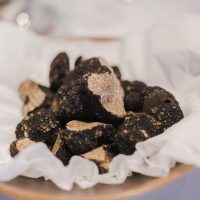 316760070_449153510735315_6540599782149929825_n